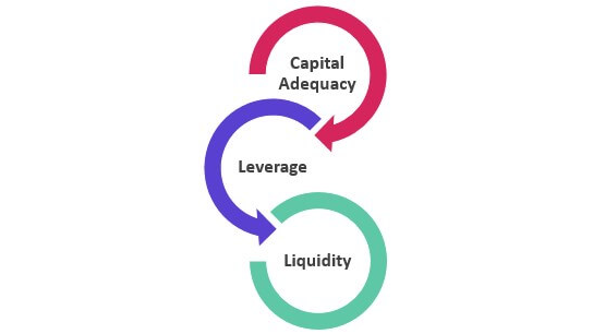 BASEL's Leverage and Liquidity Buffers